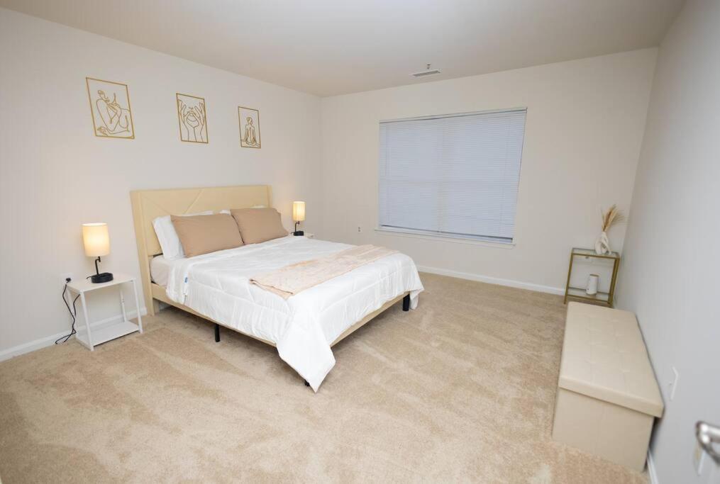 Perfect Stay! 1 Bedroom Mins To Dc Arlington Exterior photo